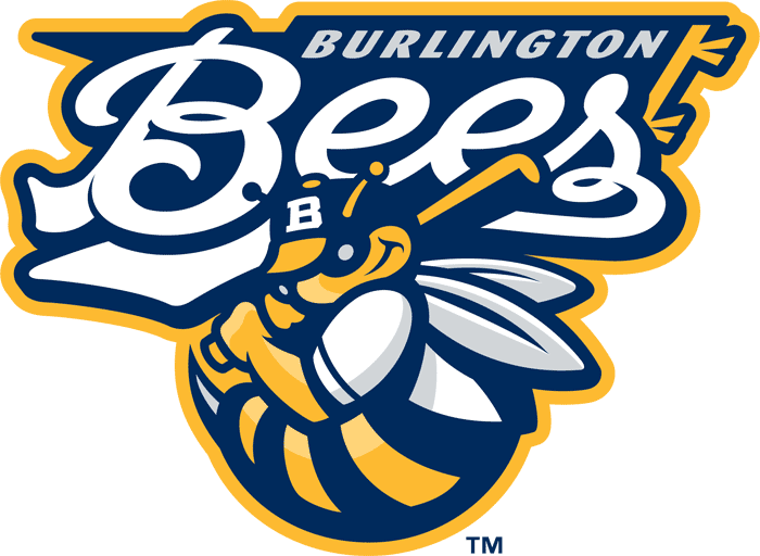 Burlington Bees iron ons